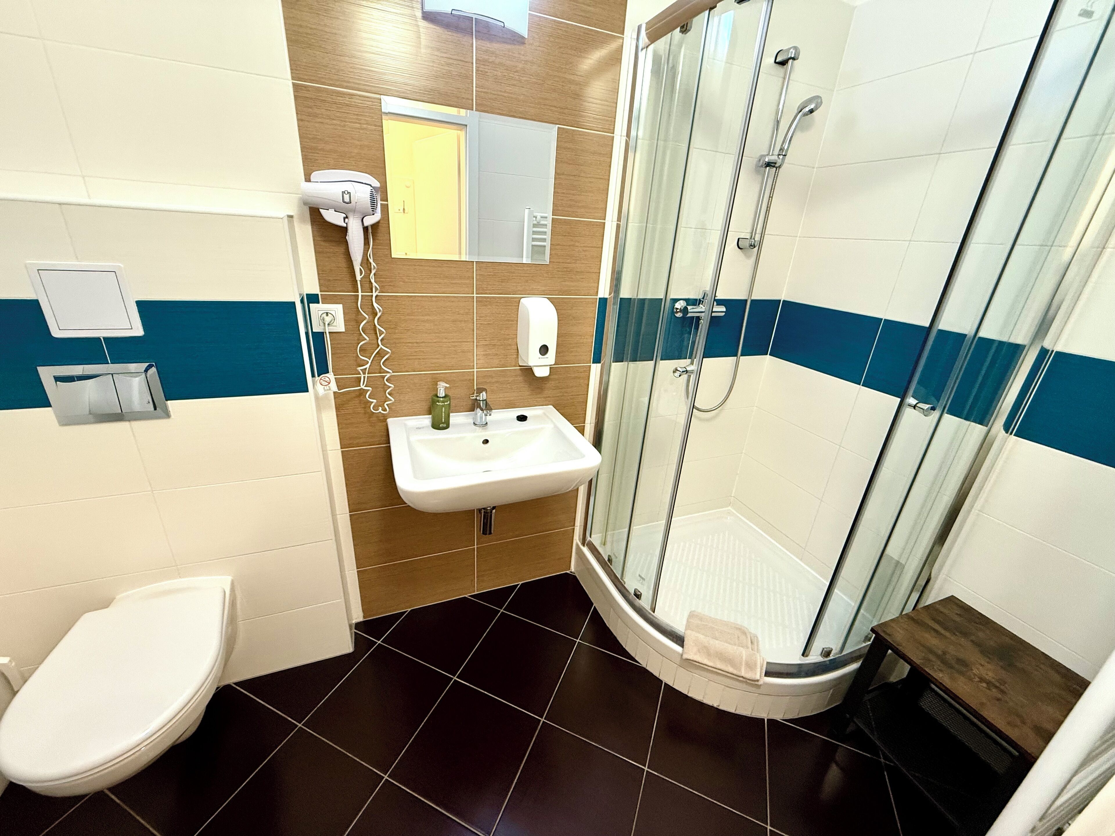 Une salle de bain équipée de toilettes, d’un lavabo et d’une douche fermée par des parois en verre.