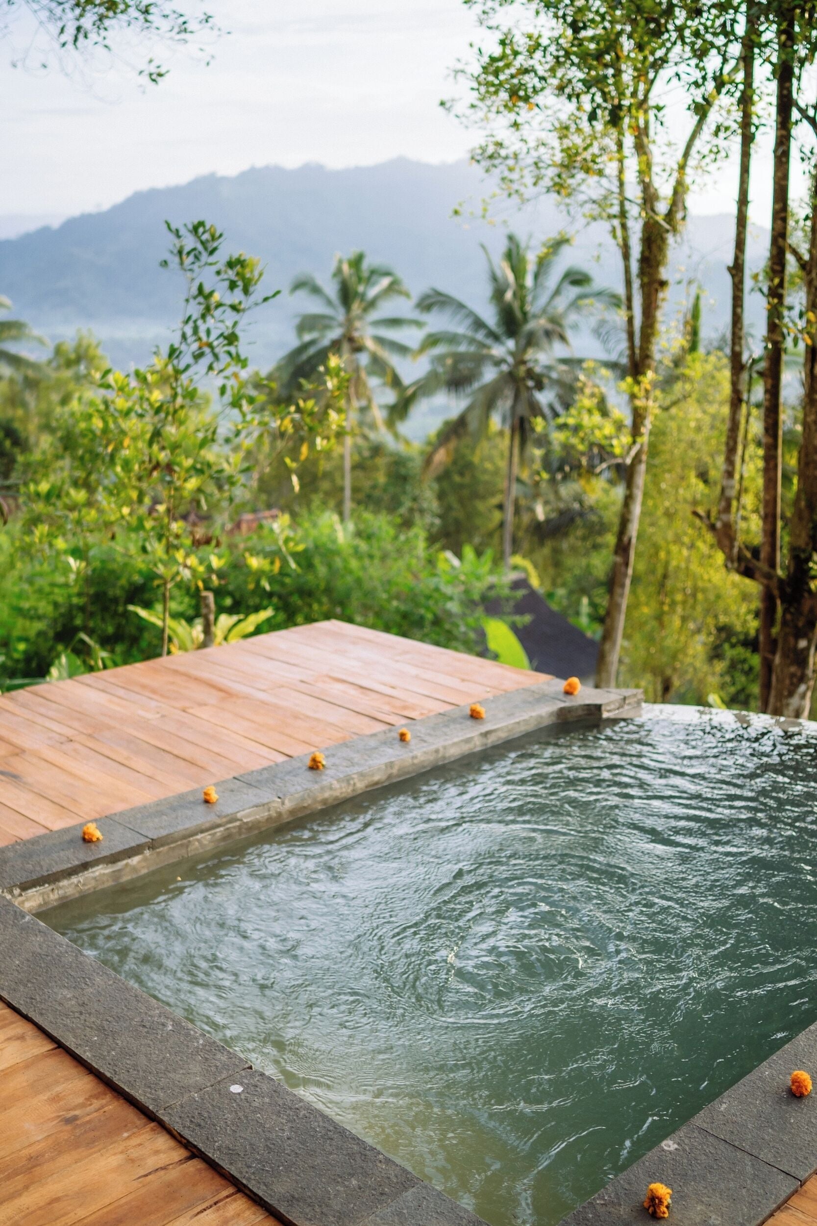 别墅, 1 间卧室 (Private Plunge Pool) | 花园景观