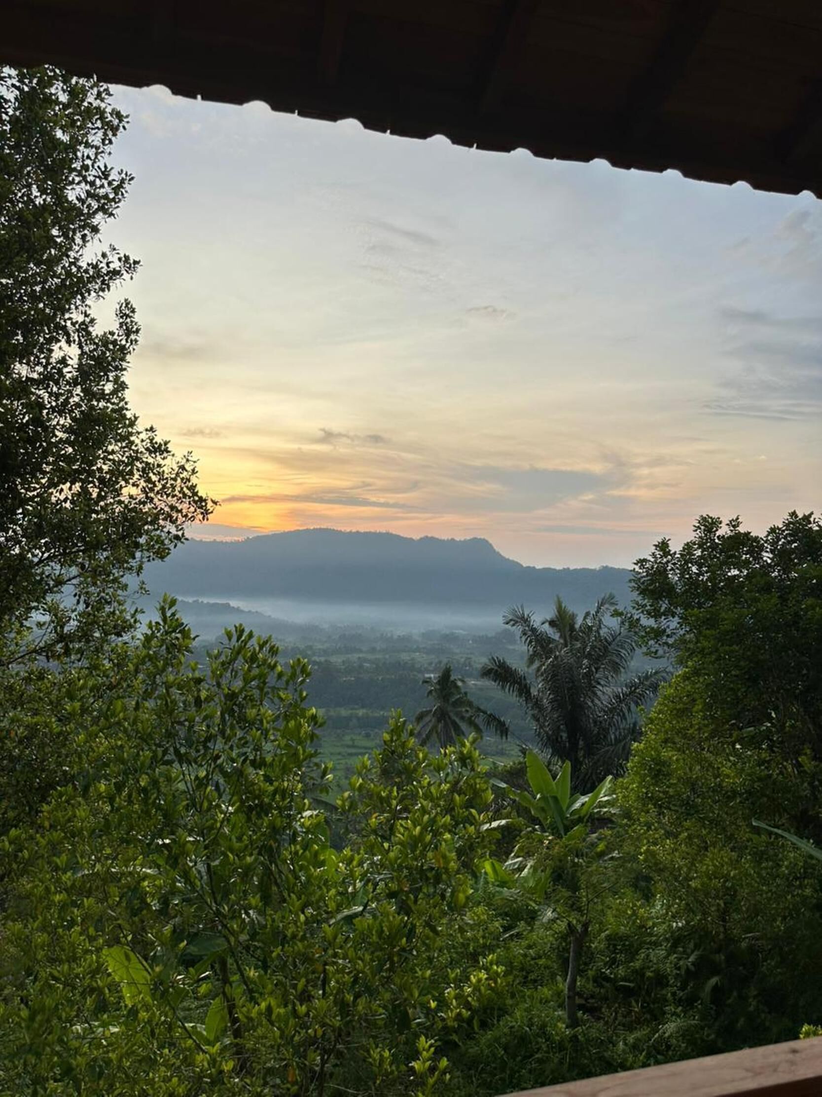 Villa, Private Pool | View from room