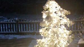 A snow-covered garden with a potted plant illuminated by lights. - Suites at the Historic Berghotel Theresia (Eslohe (Sauerland))