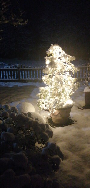 Un jardin enneigé avec une plante en pot illuminée par des lumières.