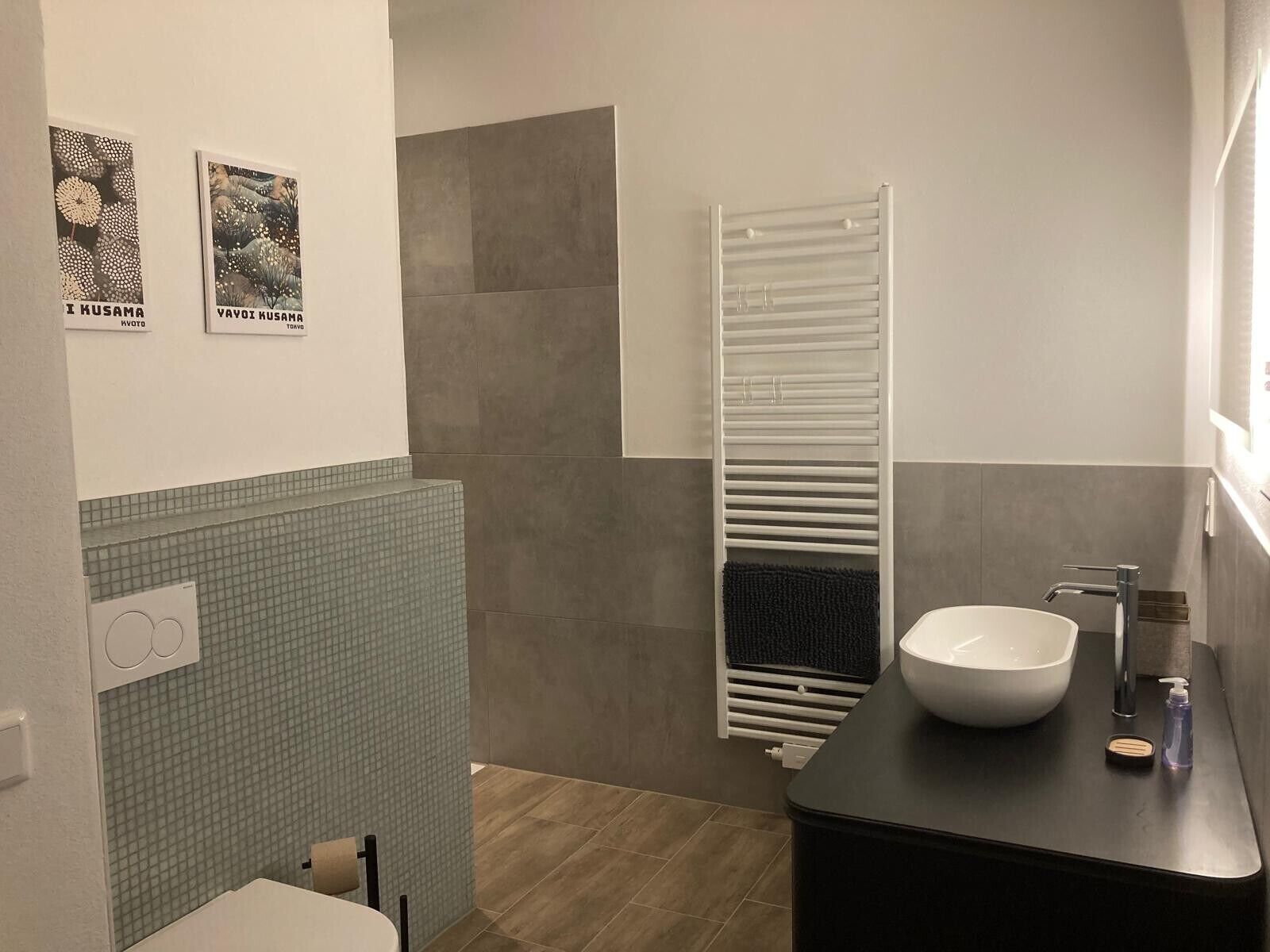 Chuveiro, produtos de toalete grátis, secador de cabelo 