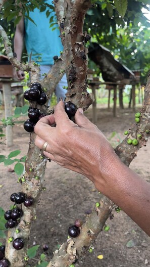 Vistas desde el alojamiento