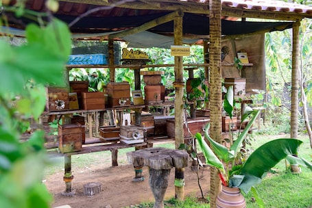 View from property. Vale das Rainhas Pousada Santo Amaro BA