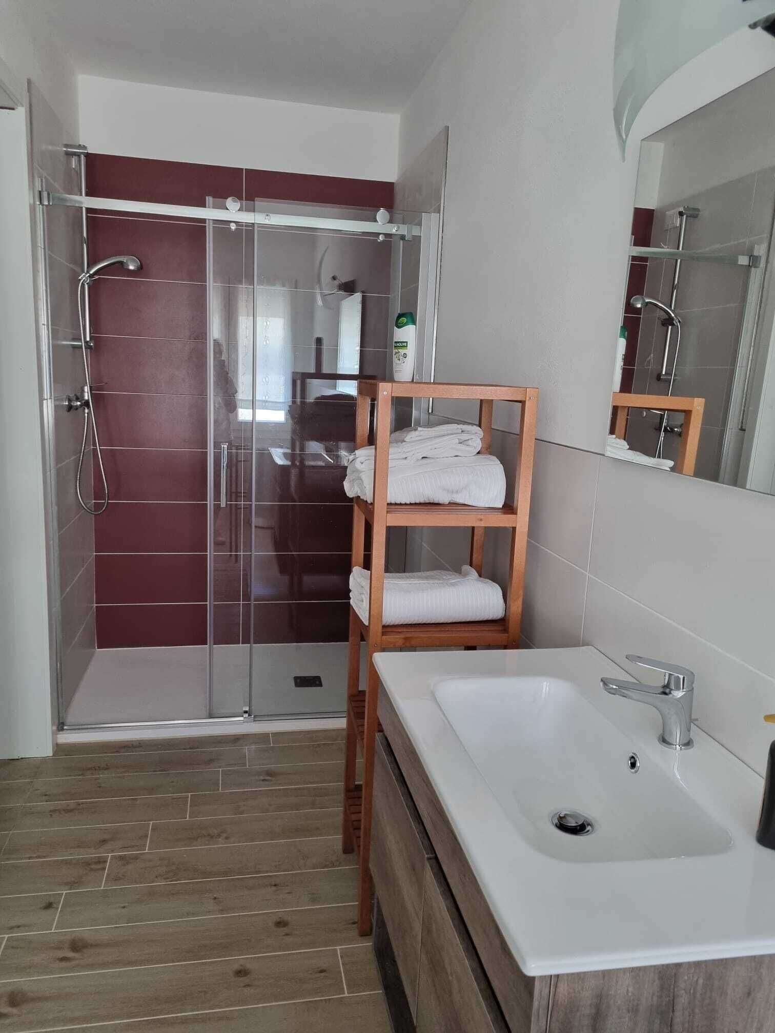 Shower, hair dryer, bidet, towels