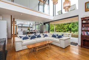 Smart TV, lareira, livros