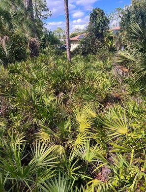 المنطقة المحيطة بالمنشأة