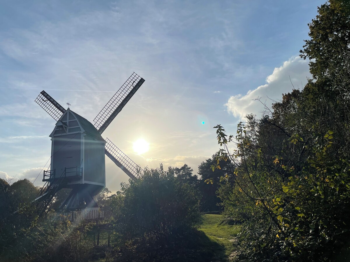 Image de profil de l’hôte