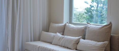 Smart TV, DVD player, books, printers