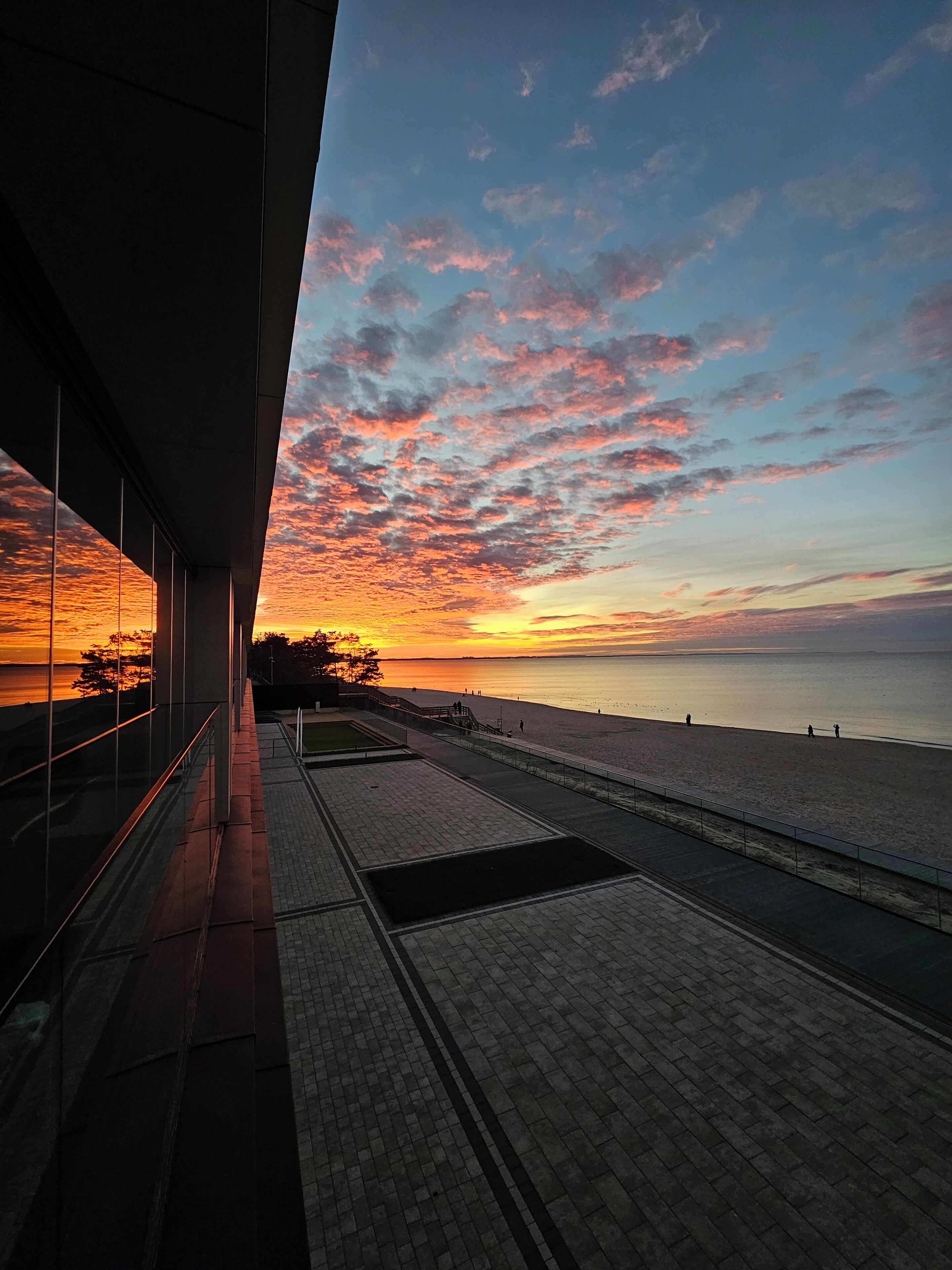 Lyxig studiosvit - havsutsikt | Utsikt från rummet