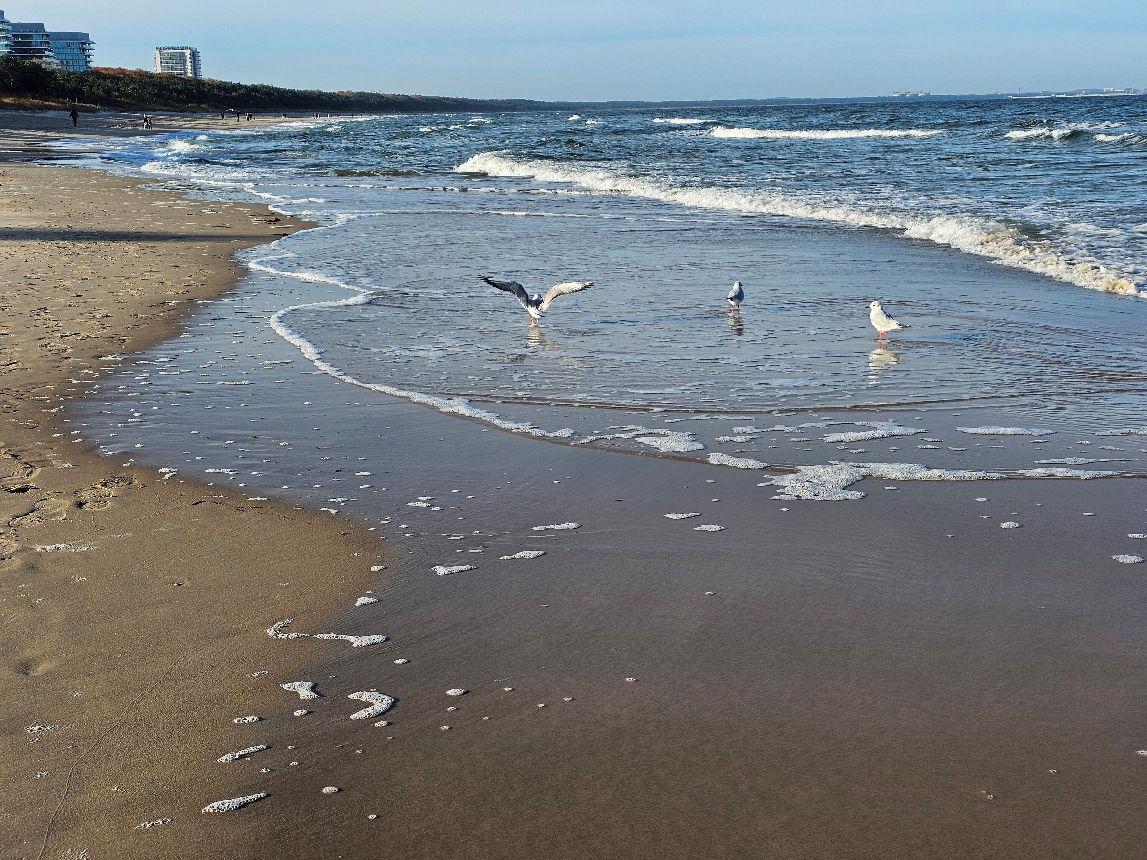 A beach with waves, footprints, and seagulls.