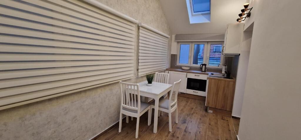 Studiosuite – deluxe, ikke-røyk, privat bad | Eget kjøkken | Mikrobølgeovn, ovn, kokeplater og vannkoker