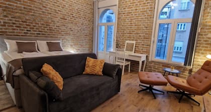 Old Town Apartments Rajiceva