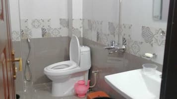 Shower, bidet, towels, toilet paper