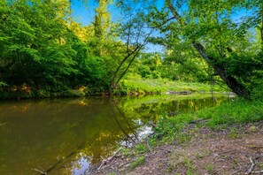 Un río tranquilo rodeado de abundante vegetación y árboles.
