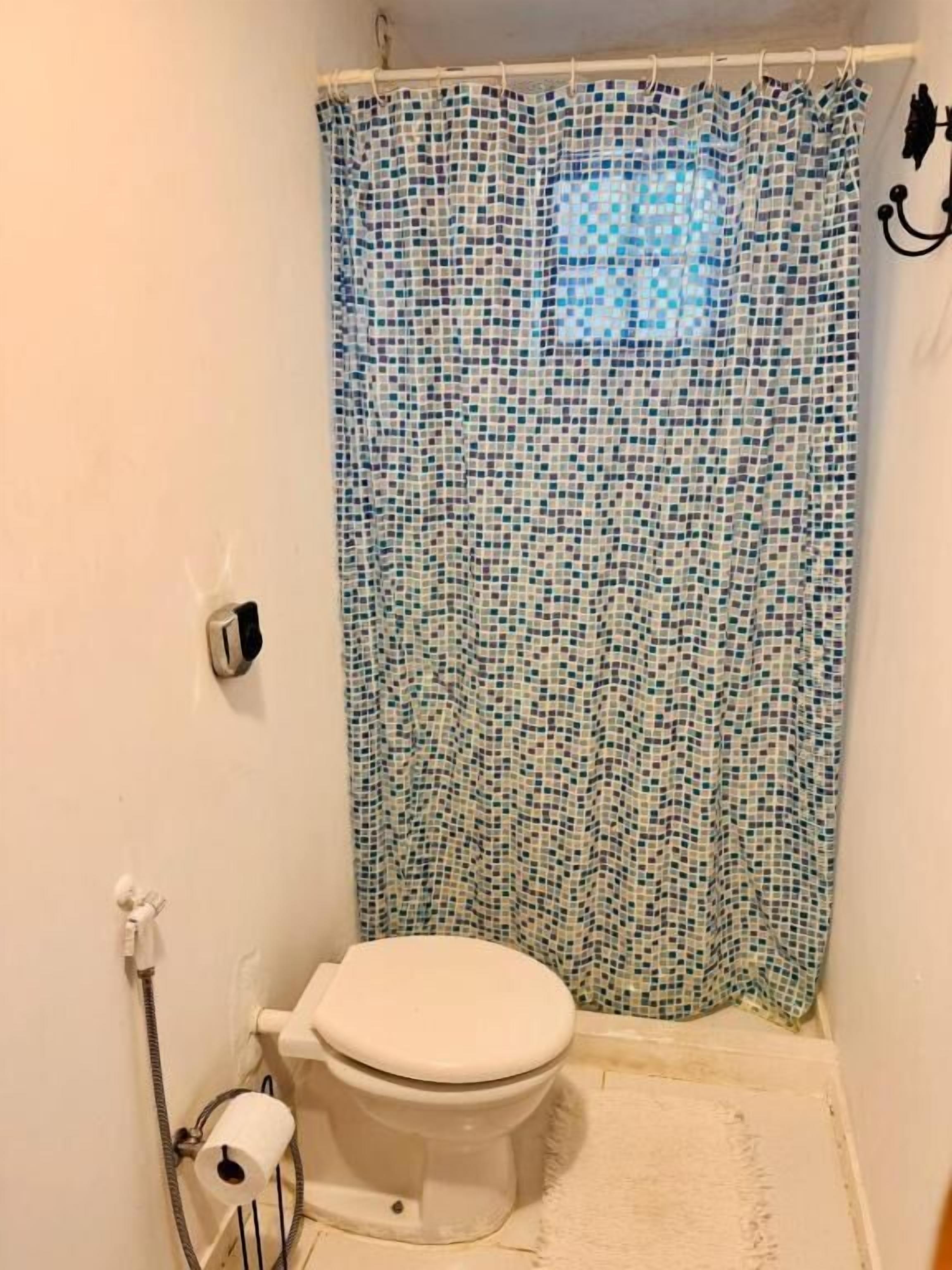 Un baño pequeño con inodoro, cortina de ducha y soporte para papel higiénico.