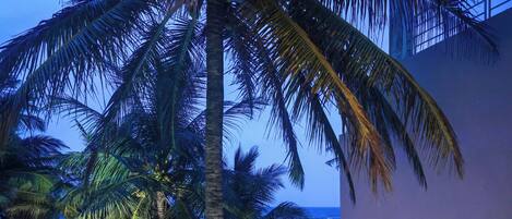 Standard Double Room, Balcony, Sea View | Property grounds