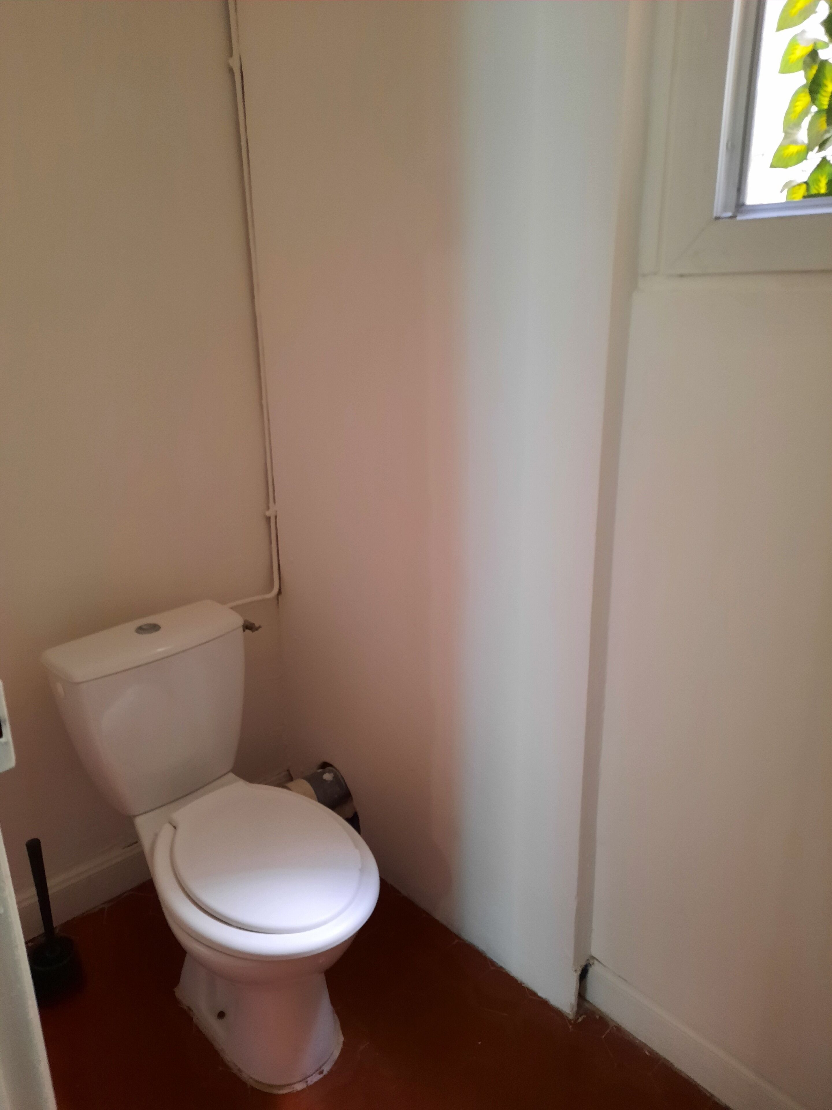 Toalhas de banho, sabonete, papel higiênico 