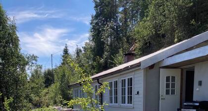 Cabin, 25 m to the Lake, 25 min Oslo, 10 min Tusenfryd