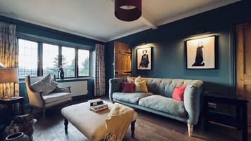 Smart TV, fireplace, books