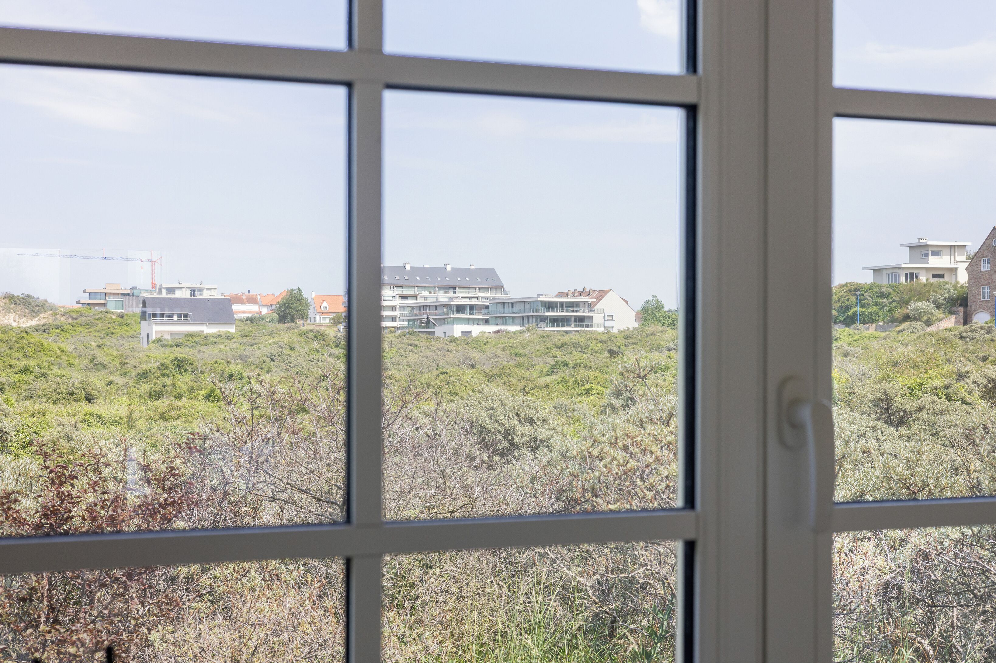 A view through a window with a grid pattern, displaying a landscape with buildings and vegetation.