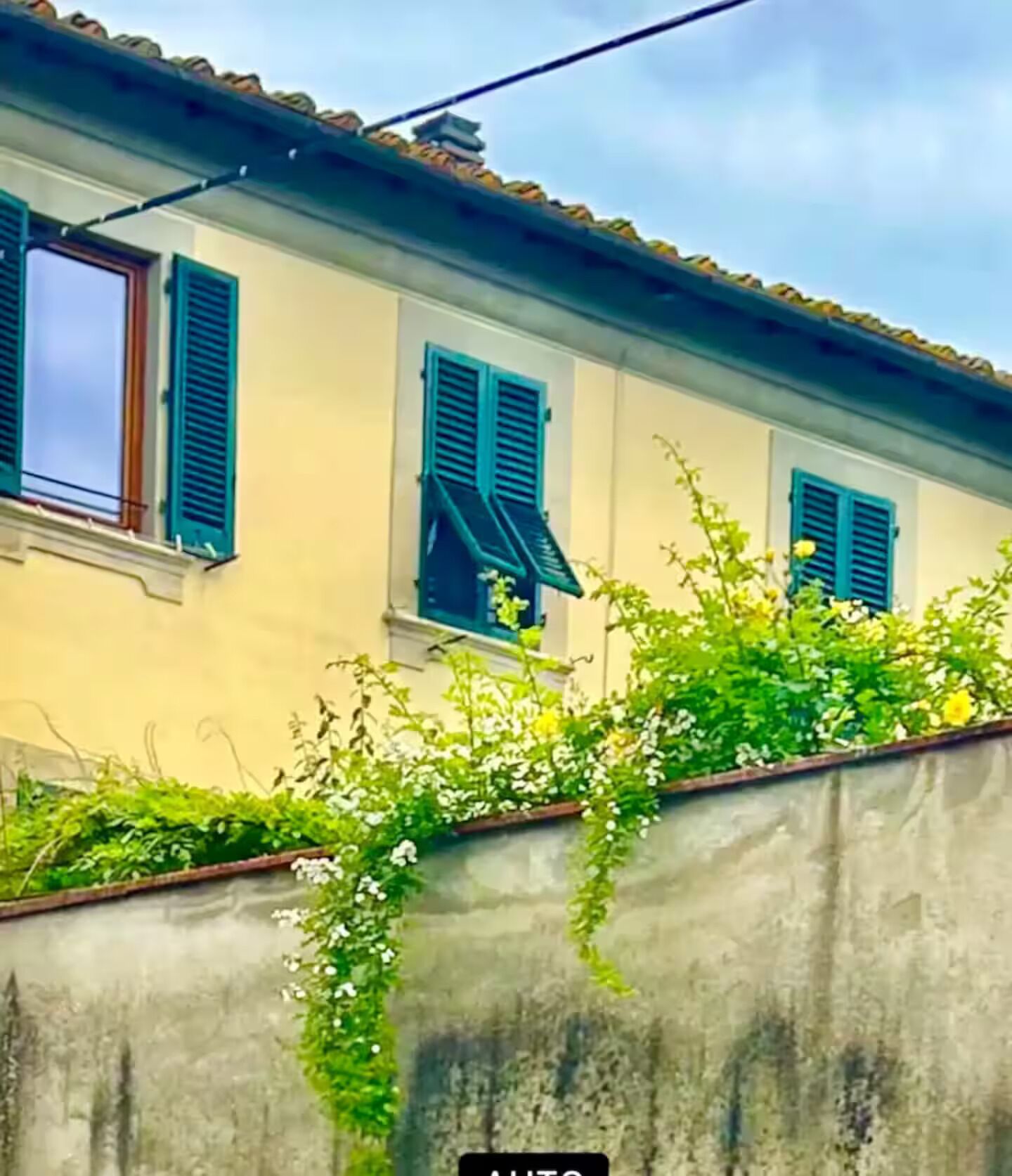 Detalle del exterior