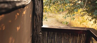 Mozhi Bushcamp