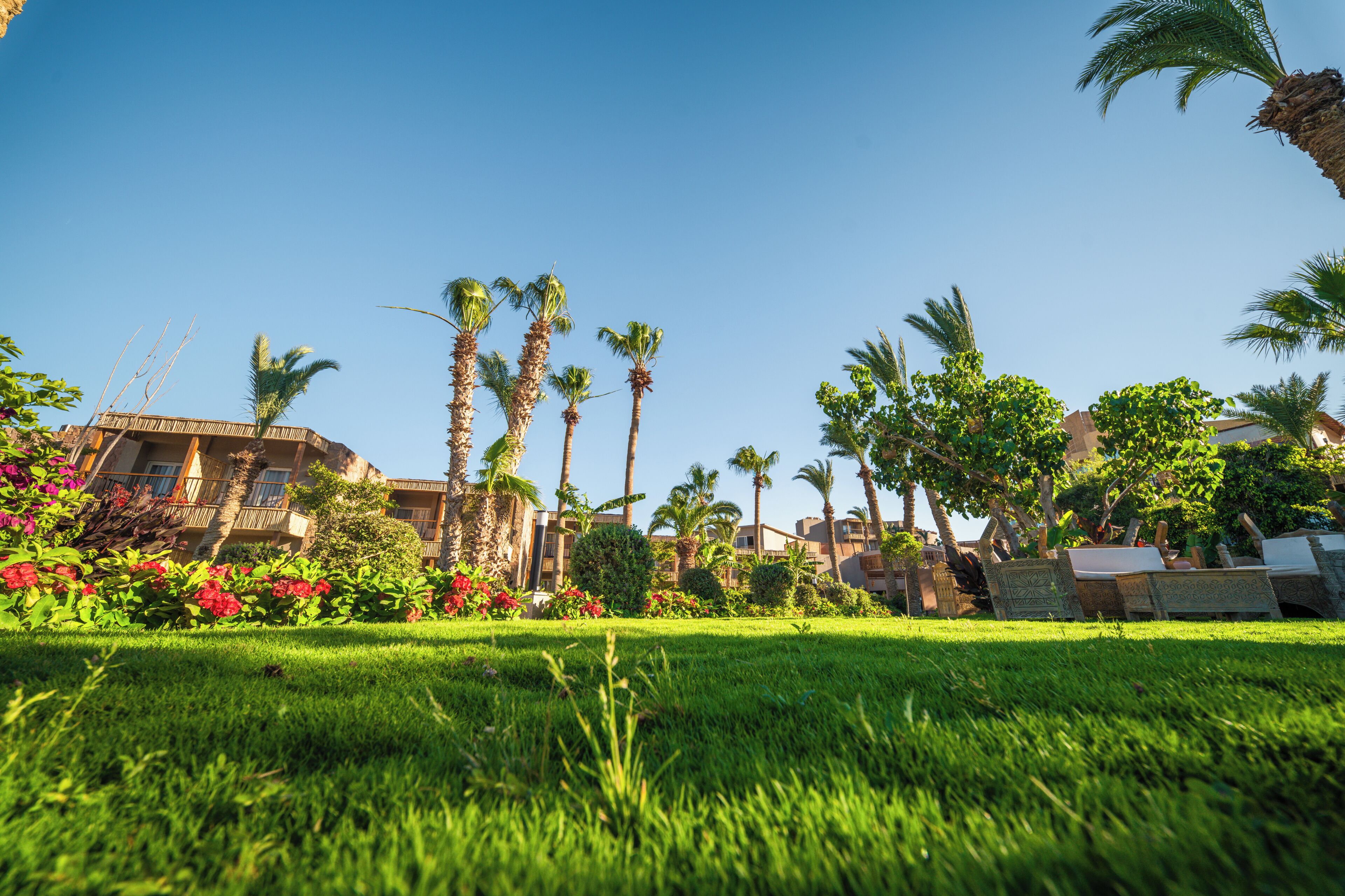 A hotel with a well-maintained lawn, palm trees, and a building with balconies.
