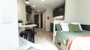 Studio, Non Smoking | Blackout curtains, free WiFi