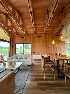 Interior - New house with pool only 15 minutes from Pucón Chile (Pucon)