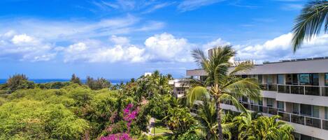 Terrain de lâhĂ©bergement