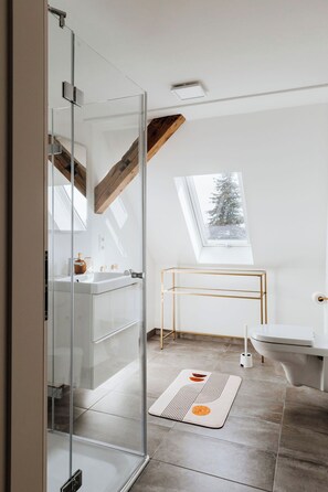 Shower, hair dryer, towels, soap