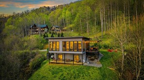 Exterior - Candler Modern / Mountain & Forest Views + Bbq (Candler)