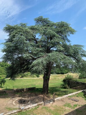 객실에서 보이는 전망
