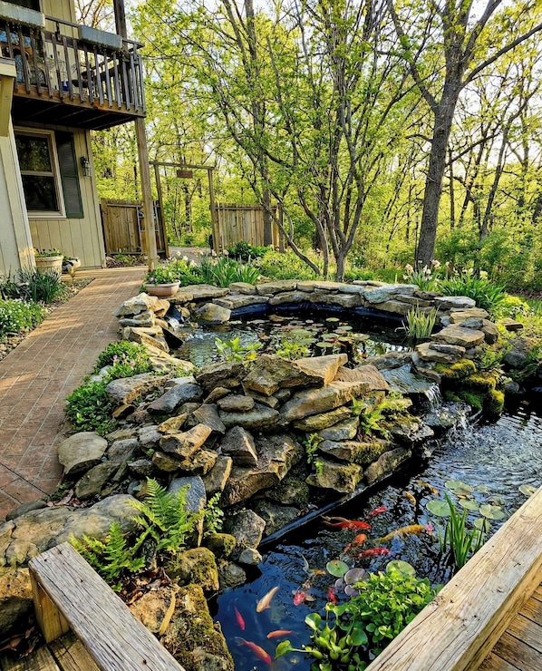 Enceinte de l’hébergement