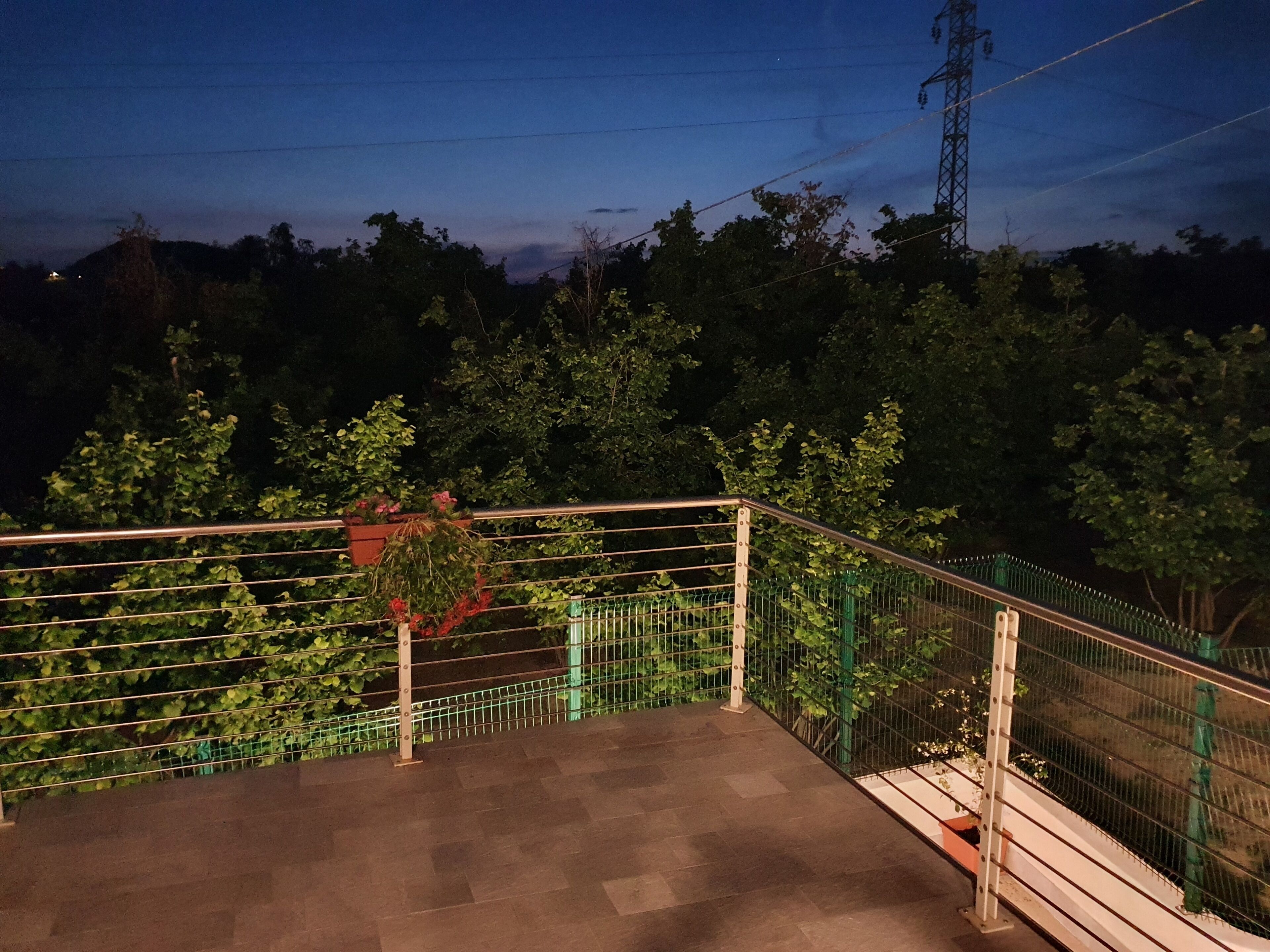 A nighttime outdoor area with a metal railing, potted plants, and a view of trees and a power line in the background.