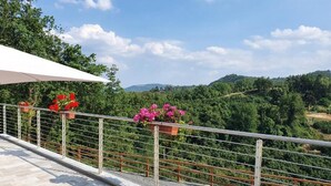 Une terrasse dotée d’une rambarde en métal, de plantes en pot et offrant une vue sur un paysage vallonné.