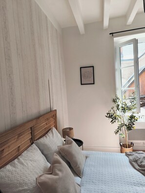 Classic Double Room - Les Chambres de Nelly (Cravant les Coteaux)