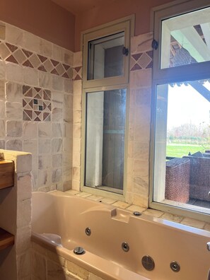 Shower, bidet, towels, toilet paper - Le Marais de Capeau, private with pond, swimming pool and leisure facilities (Arles)