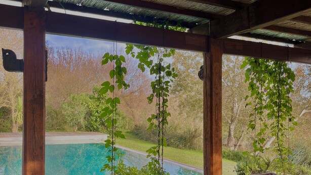 Eine Holzterrasse mit Pool, mit einer Pergola, an der hängende Pflanzen befestigt sind, und Blick auf eine natürliche Landschaft.