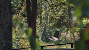 Un bain à remous en bois, entouré d’arbres.