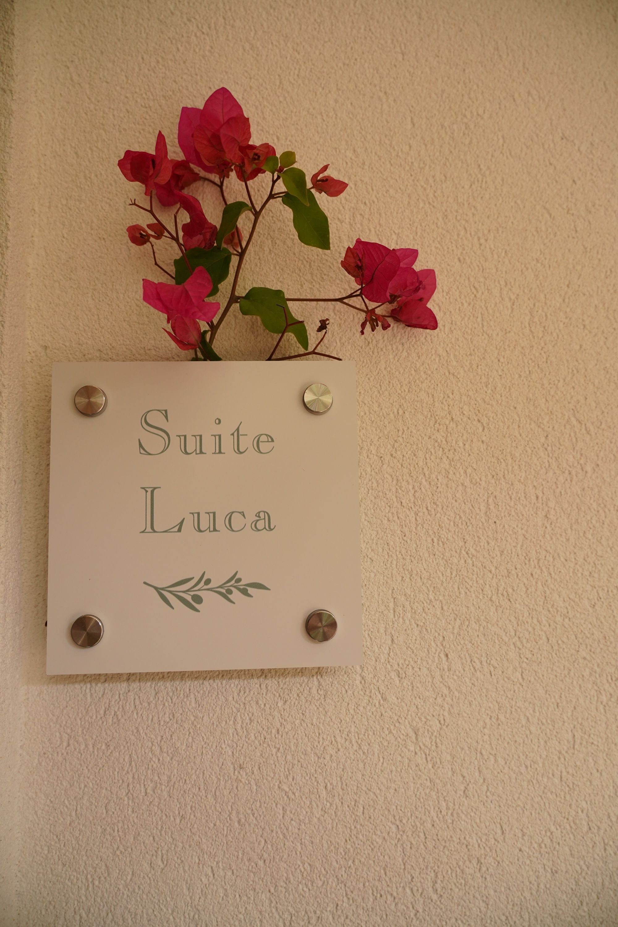 Détail de l’intérieur