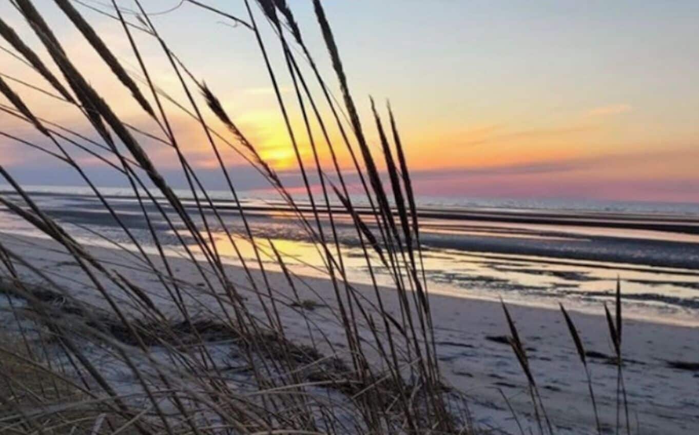 Camastros y toallas de playa 