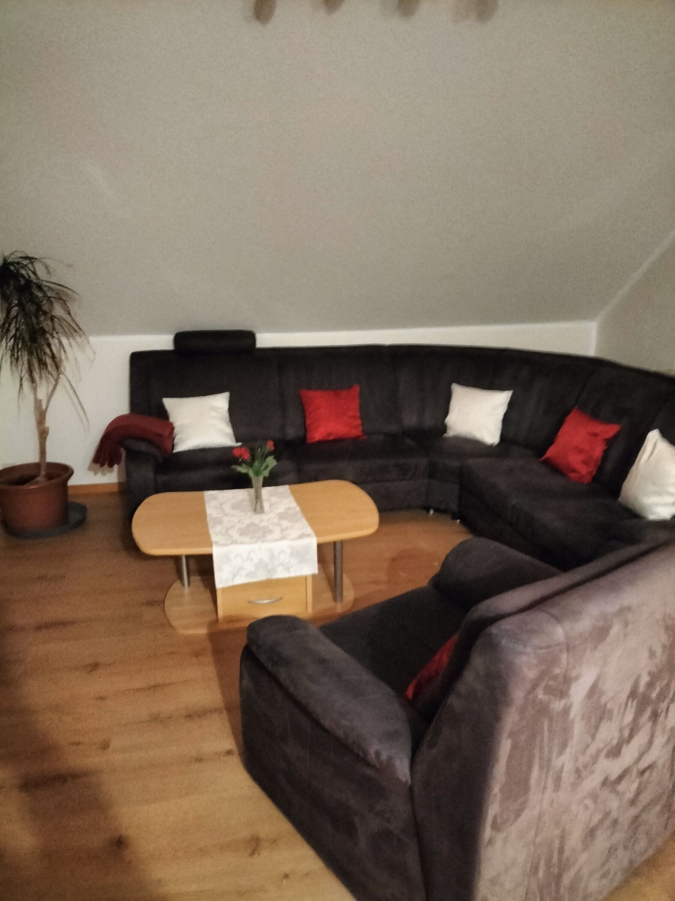 Fernseher, DVD-Player, Stereoanlage