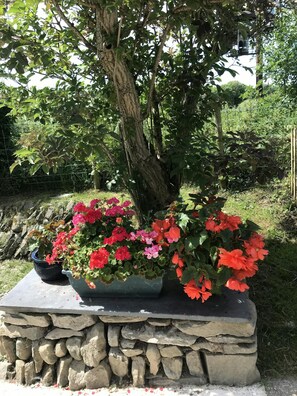 Detalle del exterior