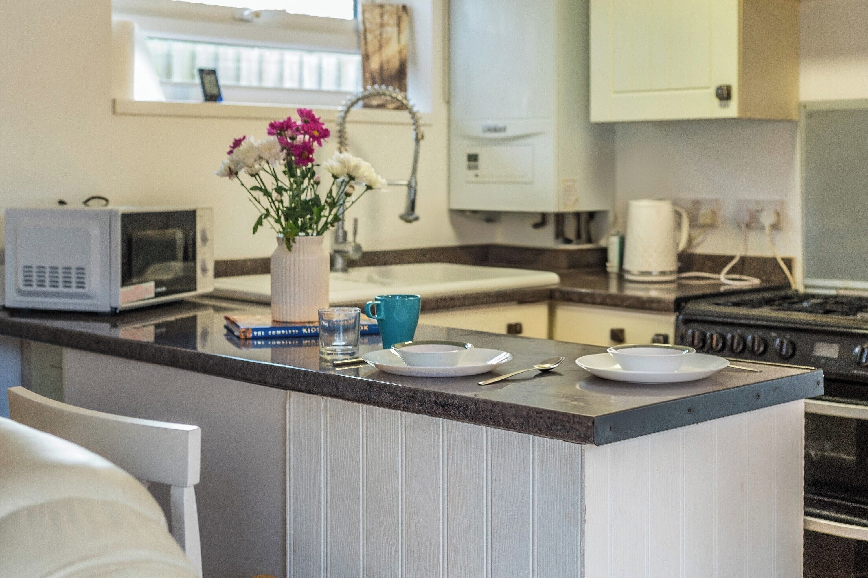 冷蔵庫、電子レンジ、オーブン、コンロ