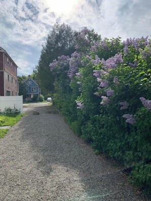A gravel driveway leading to a house with a blue exterior. - Cedar Heart-Downtown Bar Harbor off street parking (Bar Harbor)