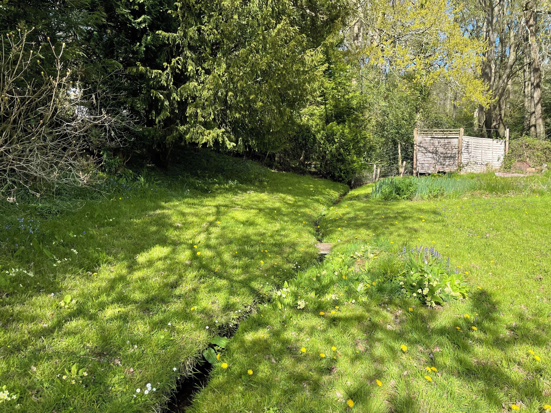 Khuôn viên nơi lưu trú