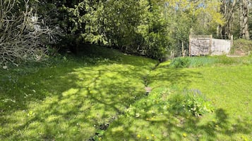 Khuôn viên nơi lưu trú