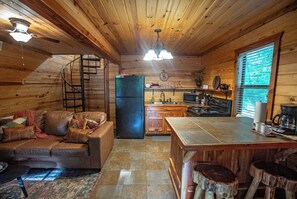 تلفزيون، مدفأة